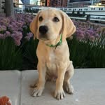 Mac & Blake - @macandbeezy - Instagram