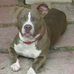 Mac Brindle - Facebook