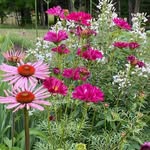 Rita Key MacBrooks Antiques - @macbrooks_antiques - Instagram