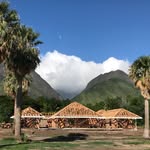 Mac Carpenter - @mauimaccarpenter - Instagram
