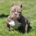 Mac Carter - Facebook