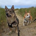 @cash.and.mac - Instagram