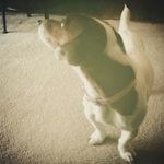 Mac Chambers - @mac_chambers54 - Instagram