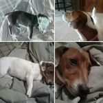Mac Chambers - @drippy_mac42 - Instagram