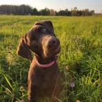 Mackenzie Clayton - Facebook