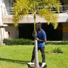 Mac Collins - @maccollins.com - TikTok