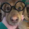 Laura MacConnell - @lauramacconnell - TikTok