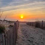 Susan Macconnell - @macconnellsusan - Instagram