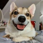 Mac Cooper - @big_mac_cooper - Instagram
