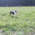 Mac cooper - @mac_cooper_17 - Instagram