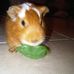 Mac Cooper - Facebook