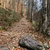 Mac cruz - @have.u.met.mac - TikTok