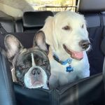 Louis & Mac Cummings - @louisandmac - Instagram