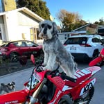 Mac Davidson - @mac_davidson09 - Instagram