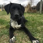 Mac - @mac_doddle_ - Instagram