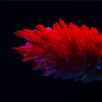 Macdoddelz - @macdoddelz - Instagram