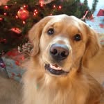 Mac English - @macdaddy907 - Instagram