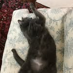 mac erwin - @find_the_mysterys - Instagram
