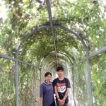 Mac Faison Molina II - @jasonmolina434 - Instagram