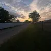MACI_FARRELL - @maci_farrell - TikTok