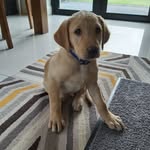 McGibbons (real name Max) - @mac_gibbons2020 - Instagram