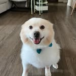 Mac Gonzalez - @bigmacgonzalez - Instagram