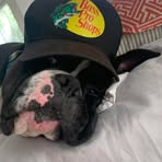Mac Greene - Facebook
