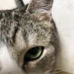 はまちゃん - @mac.hammer - Instagram