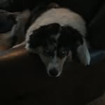 Mack Hewett - @mackhewett - Instagram