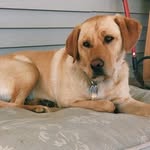 Mac Hicks - @adventuresofmachicks - Instagram