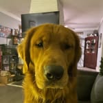 Mac Hudson - @mac.hudson44 - Instagram