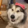 macy hughes - @macy.hughes - TikTok