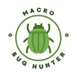 Manfred Auer - @macro.bug.hunter - Instagram