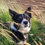 Ian Maclennan - @mr_macjoiner - Instagram