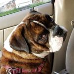 Mac Joiner - @mac_a_roo17 - Instagram