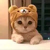 ꧁🥶K͜͡e͜͡c͜͡k͜͡m͜͡a͜͡c͜͡🥶꧂ - @_.keckmac._ - TikTok