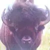 Mac Knight - @mac.knight0 - TikTok