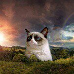 Mac Lackey - @fluffy_panda_09 - Instagram