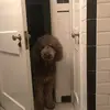 maclanroberts - @maclanroberts - TikTok
