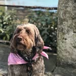 Mac Lane - @kazzamac123 - Instagram