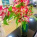 Mac Lewis - Facebook