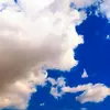 maclewis - @fonkamaclewis - TikTok