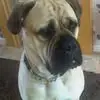 Mac Lloyd - @mac.lloyd01 - TikTok