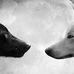 Mac Lobo - Facebook