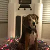 Mac Lorenz - @maclorenz120 - TikTok