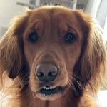 Mac Mackey - @macawastar - Instagram