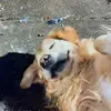 macmacleod_💛 - @macmacleod_ - TikTok