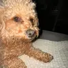 Maci_2.0 - @macs_main - TikTok