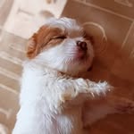 Mac Manalo - @_macmanalo - Instagram
