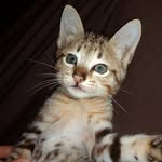 😼 M A C A N - @mac.mann_ - Instagram